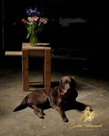 Molly and flowers